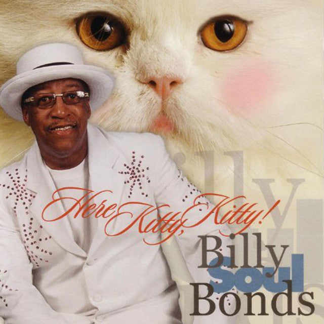 Billy Soul Bonds - Here Kitty, Kitty