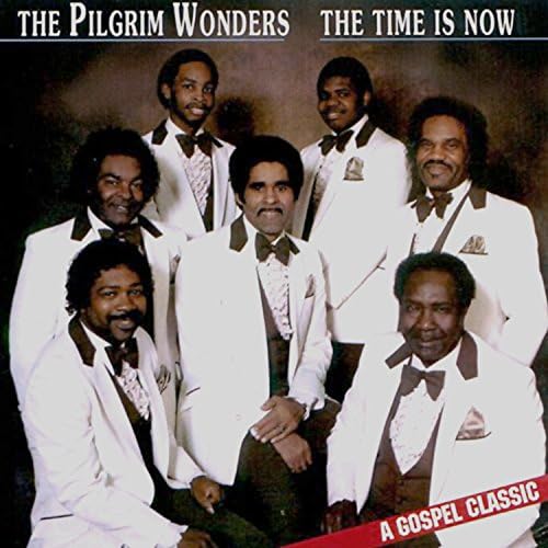 The Pilgrim Wonders - The Time Is Now